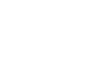 Puma White