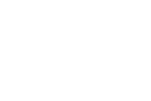 Adidas_logo-White-300x202